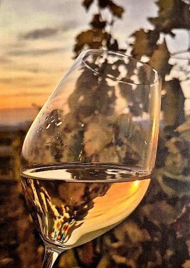 A Király Aszú, dr. Demeter Endre életműve Tóbiás Adrienn felvételén